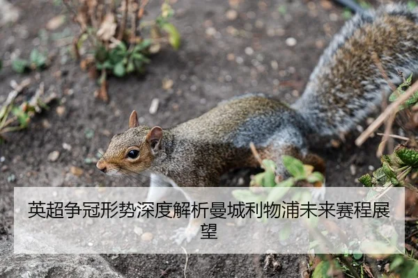 英超争冠形势深度解析曼城利物浦未来赛程展望
